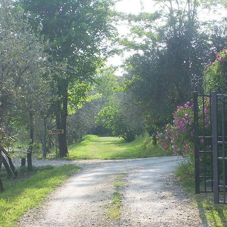 B&B Il Giglio Etrusco San Casciano in Val di Pesa Dış mekan fotoğraf