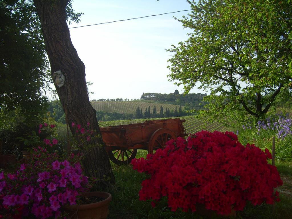 B&B Il Giglio Etrusco San Casciano in Val di Pesa Dış mekan fotoğraf