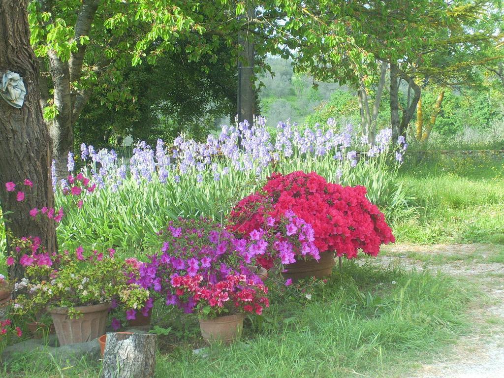 B&B Il Giglio Etrusco San Casciano in Val di Pesa Dış mekan fotoğraf