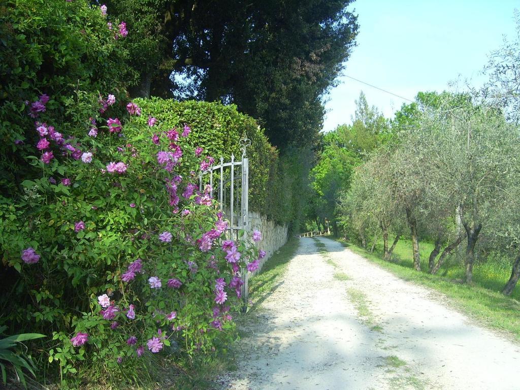 B&B Il Giglio Etrusco San Casciano in Val di Pesa Dış mekan fotoğraf