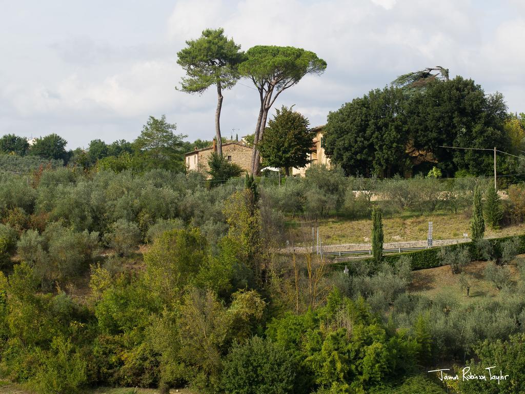 B&B Il Giglio Etrusco San Casciano in Val di Pesa Dış mekan fotoğraf