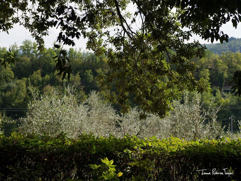 B&B Il Giglio Etrusco San Casciano in Val di Pesa Dış mekan fotoğraf