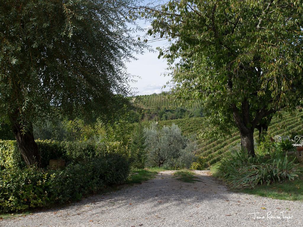 B&B Il Giglio Etrusco San Casciano in Val di Pesa Dış mekan fotoğraf