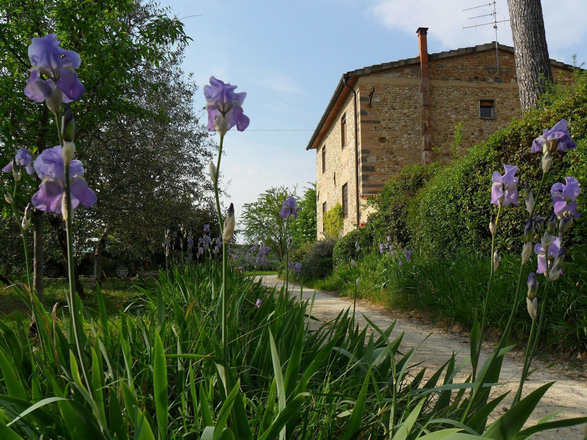 B&B Il Giglio Etrusco San Casciano in Val di Pesa Dış mekan fotoğraf